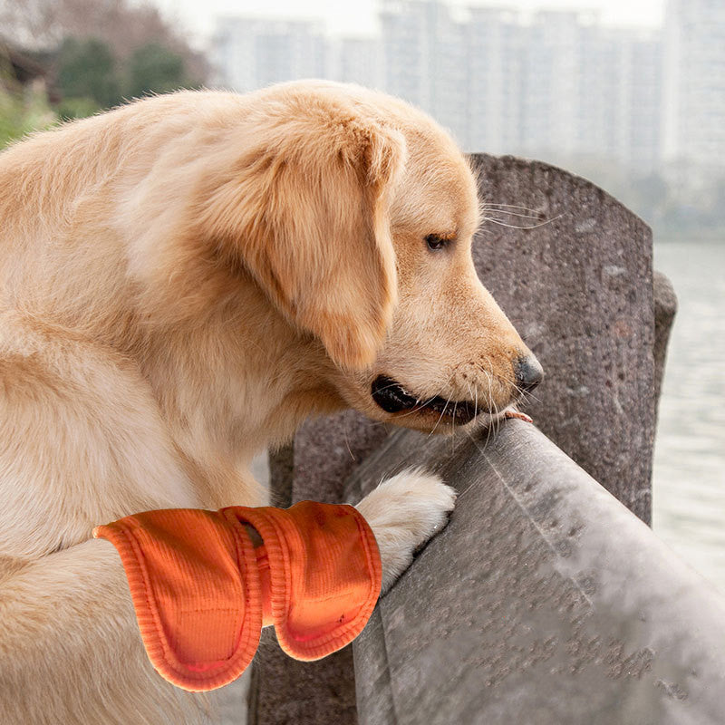 Sir Barkington’s Restorative Knee Brace™
Stabilizing Post‑Surgery Support for Safe, Confident Mobility - Sir Barkington’s Pet Supplies