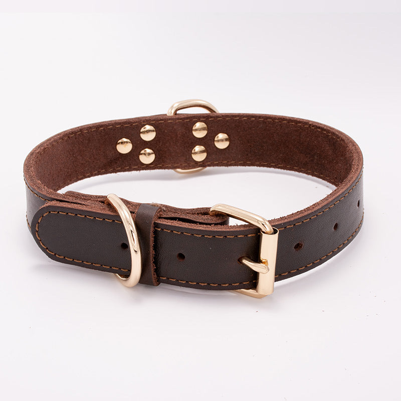 🧵 The Steward’s Leather Collar - Sir Barkington’s Pet Supplies