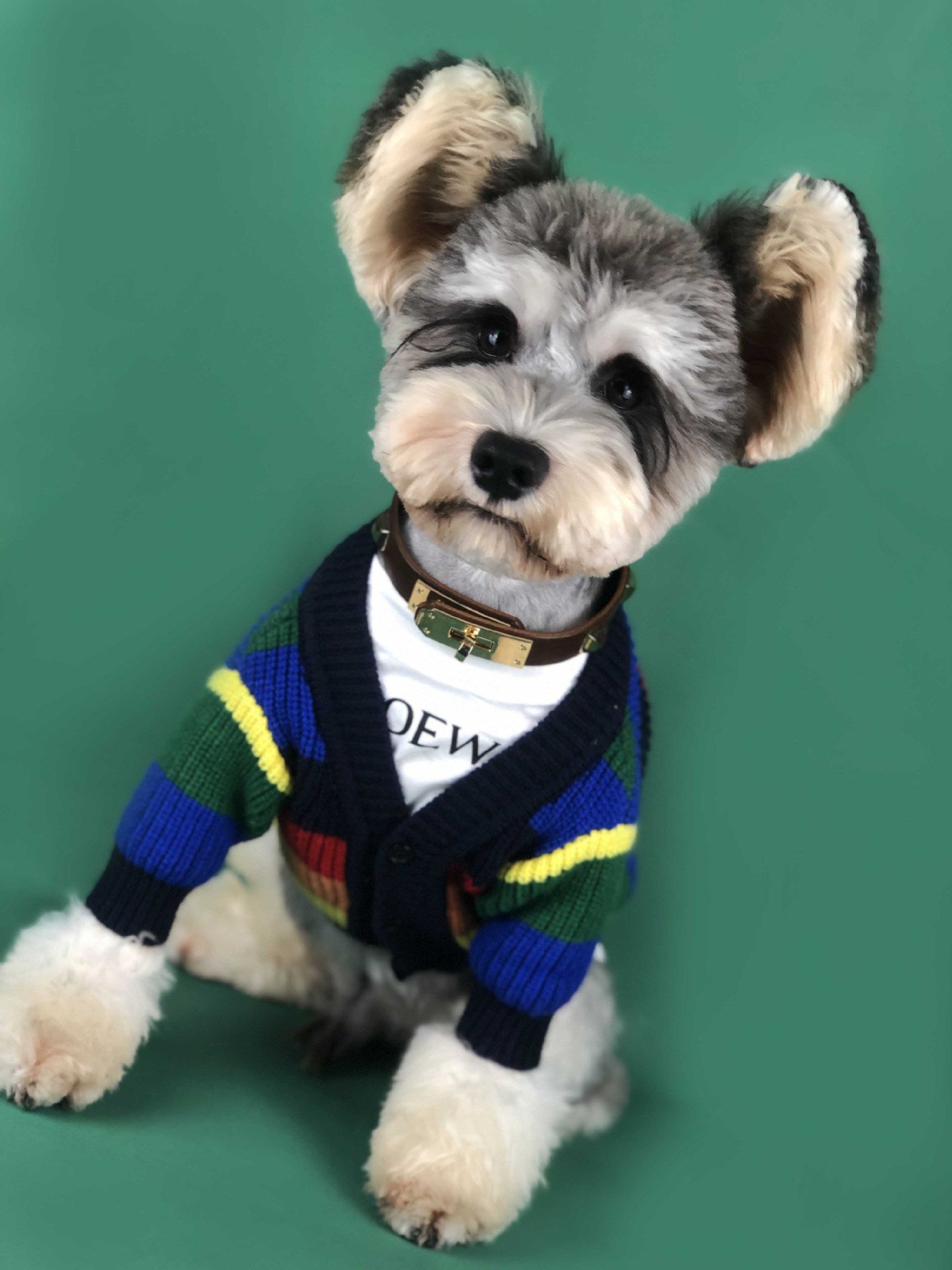 Dog Rainbow Striped Cardigan - Sir Barkington’s Pet Supplies