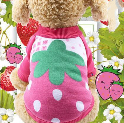 Winter Elegance for Aristopups and Noble Cats - Sir Barkington’s Pet Supplies