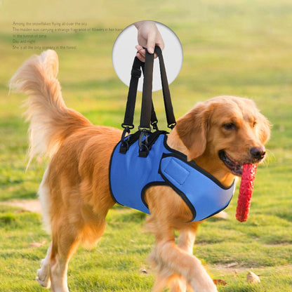 Sir Barkington’s Noble Senior Belt — Rehabilitation Aid for Elderly Dogs - Sir Barkington’s Pet Supplies