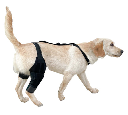 Sir Barkington’s Restorative Hind‑Leg Brace™ - Sir Barkington’s Pet Supplies
