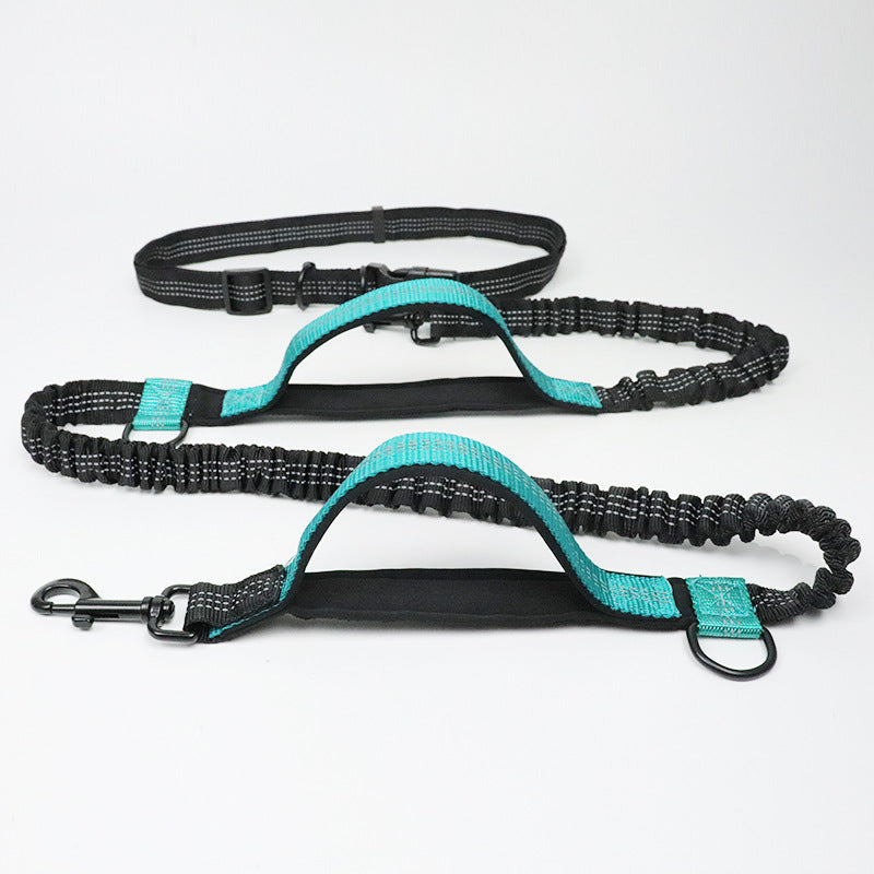 Sir Barkington’s DuoStride™ Reflective Elastic Leash - Sir Barkington’s Pet Supplies