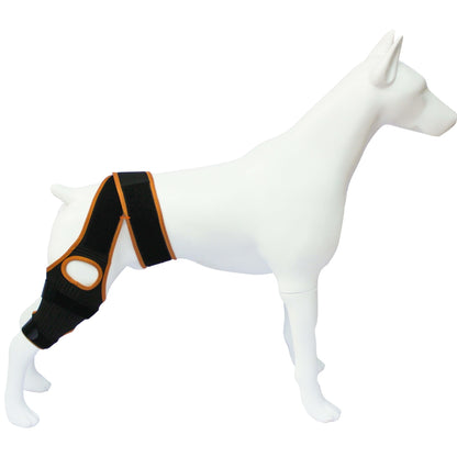 Sir Barkington’s Restorative Hind‑Leg Brace™ - Sir Barkington’s Pet Supplies