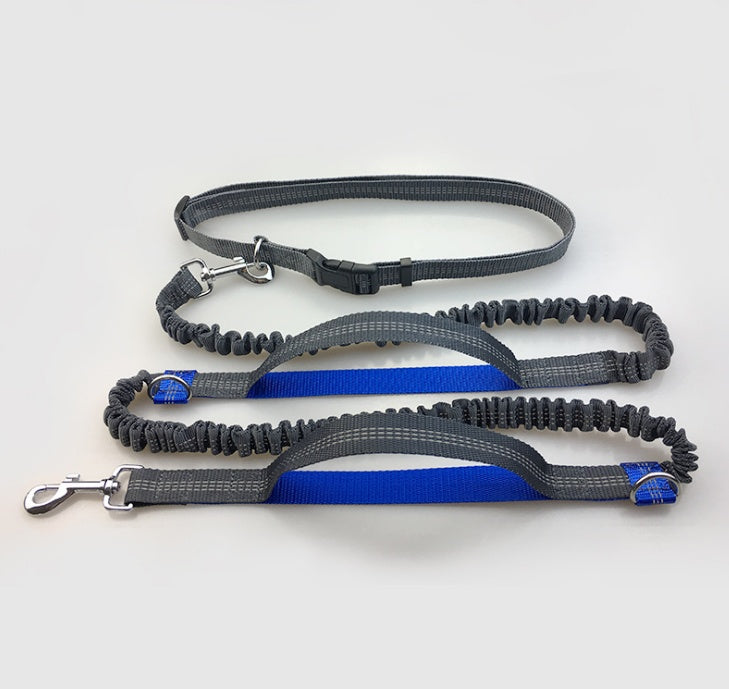 Sir Barkington’s DuoStride™ Reflective Elastic Leash - Sir Barkington’s Pet Supplies