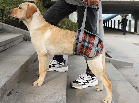 Sir Barkington’s Noble Sling — Postoperative & Elderly Dog Walking Aid - Sir Barkington’s Pet Supplies