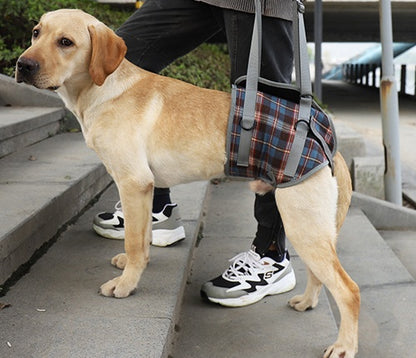 Sir Barkington’s Noble Sling — Postoperative & Elderly Dog Walking Aid - Sir Barkington’s Pet Supplies