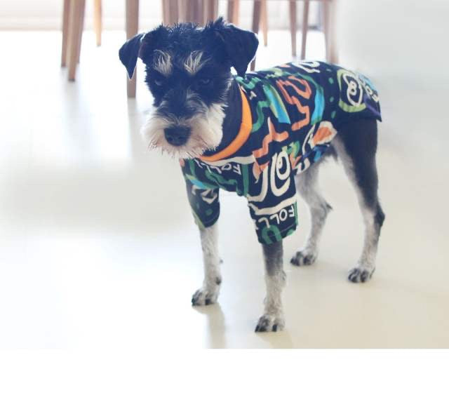 The Aristopup Spring & Summer Sweater - Sir Barkington’s Pet Supplies