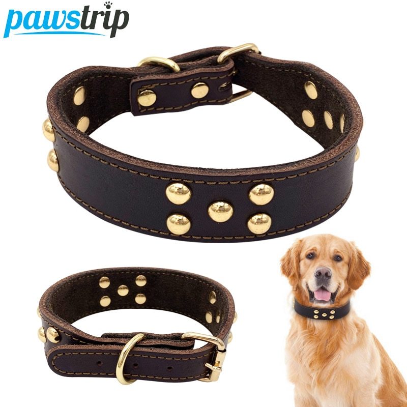 🧵 The Steward’s Leather Collar - Sir Barkington’s Pet Supplies