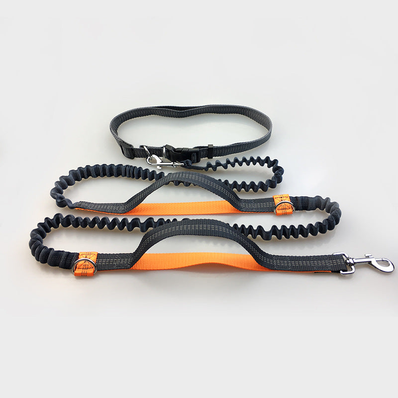 Sir Barkington’s DuoStride™ Reflective Elastic Leash - Sir Barkington’s Pet Supplies
