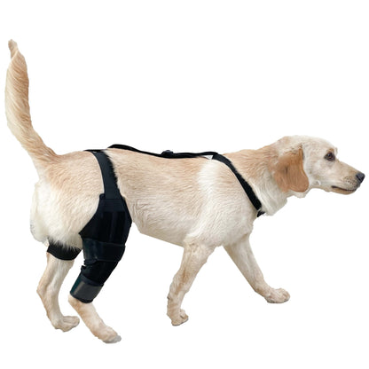 Sir Barkington’s Restorative Hind‑Leg Brace™ - Sir Barkington’s Pet Supplies