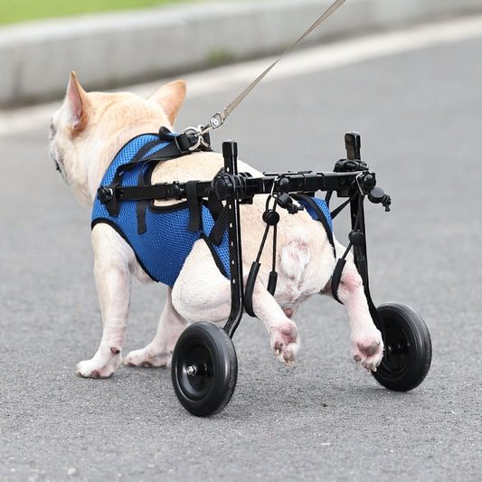 Sir Barkington’s Noble Scooter — Pet Disabled Dog Wheelchair - Sir Barkington’s Pet Supplies
