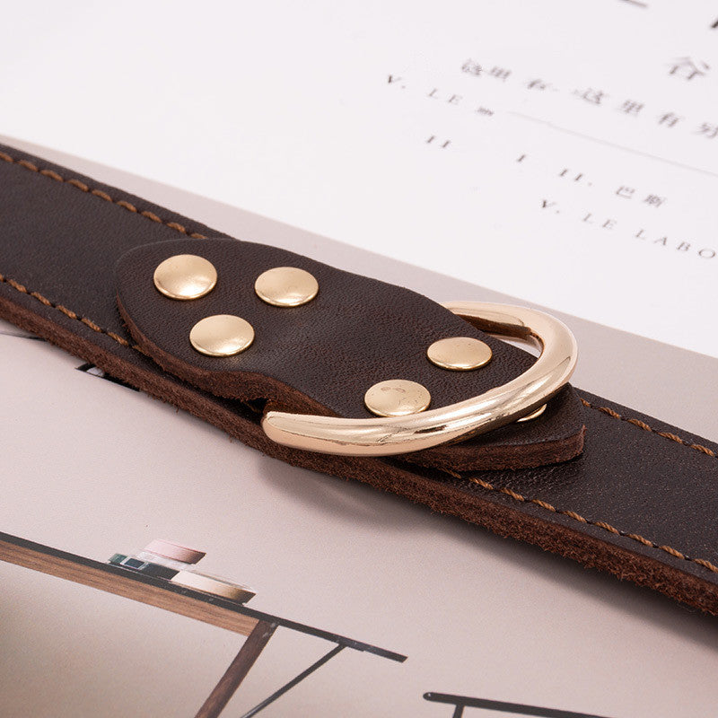 🧵 The Steward’s Leather Collar - Sir Barkington’s Pet Supplies