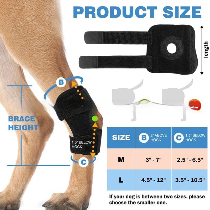 Sir Barkington’s Noble Knee Guard — Joint & Ligament Protection Pad - Sir Barkington’s Pet Supplies