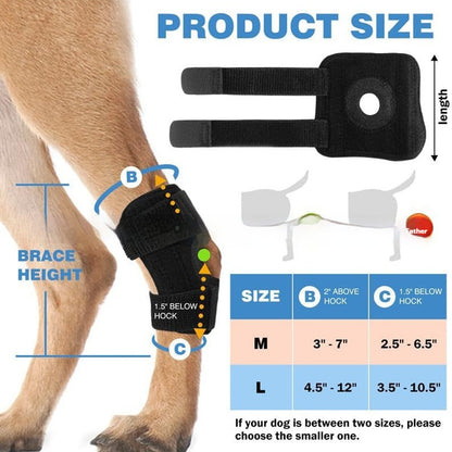 Sir Barkington’s Noble Knee Guard — Joint & Ligament Protection Pad - Sir Barkington’s Pet Supplies