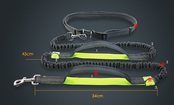 Sir Barkington’s DuoStride™ Reflective Elastic Leash - Sir Barkington’s Pet Supplies
