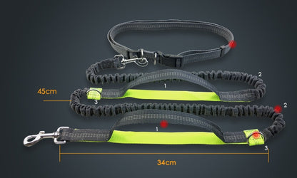 Sir Barkington’s DuoStride™ Reflective Elastic Leash - Sir Barkington’s Pet Supplies