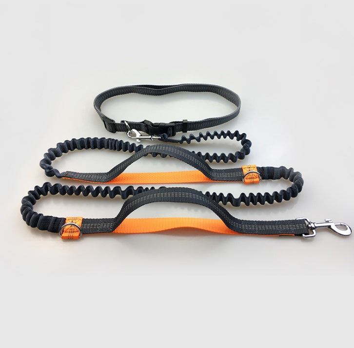 Sir Barkington’s DuoStride™ Reflective Elastic Leash - Sir Barkington’s Pet Supplies