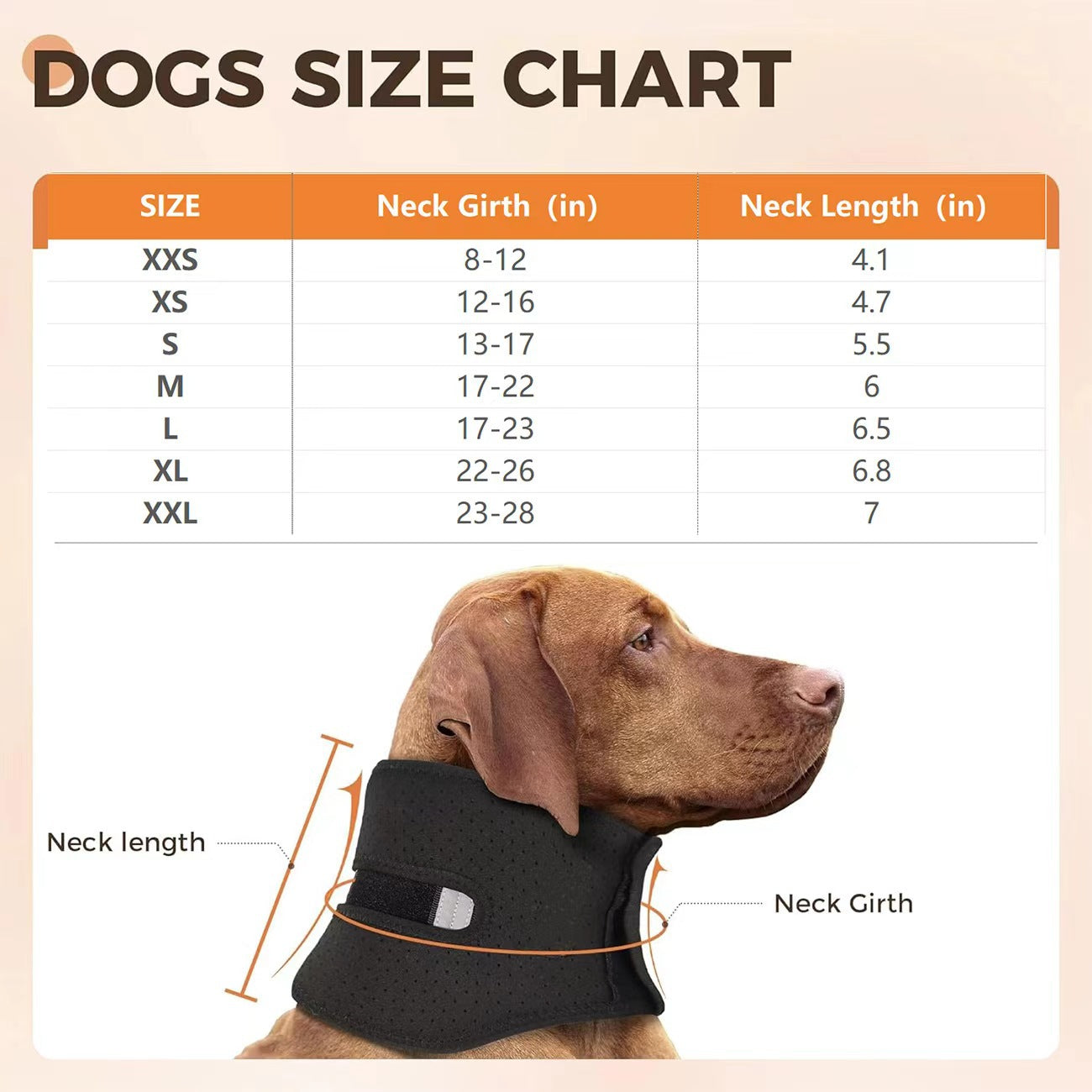 Sir Barkington’s Restorative Cervical Brace™
Neck Stabilization for Sprains, Instability, and Post‑Injury Recovery - Sir Barkington’s Pet Supplies