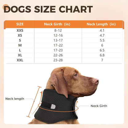 Sir Barkington’s Restorative Cervical Brace™
Neck Stabilization for Sprains, Instability, and Post‑Injury Recovery - Sir Barkington’s Pet Supplies