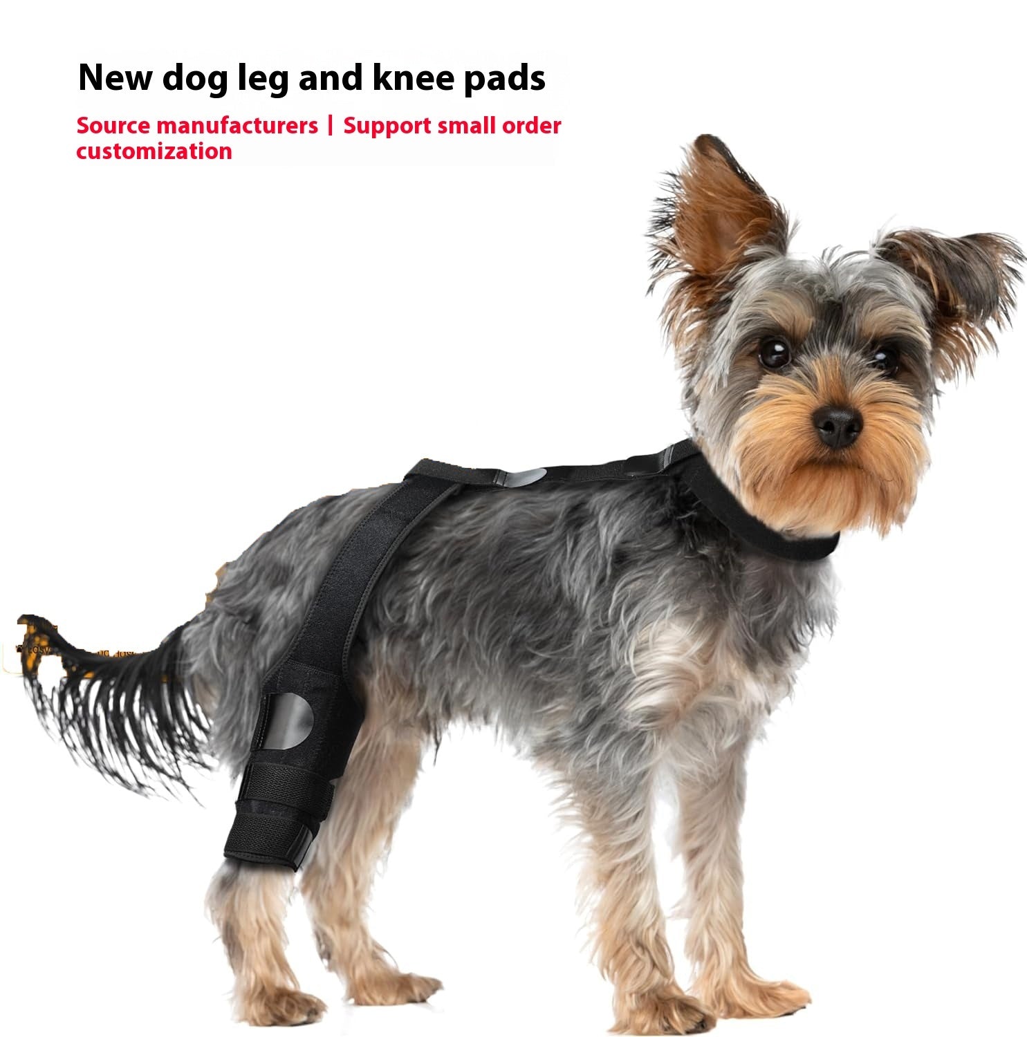 Sir Barkington’s Restorative Hind‑Leg Brace™ - Sir Barkington’s Pet Supplies