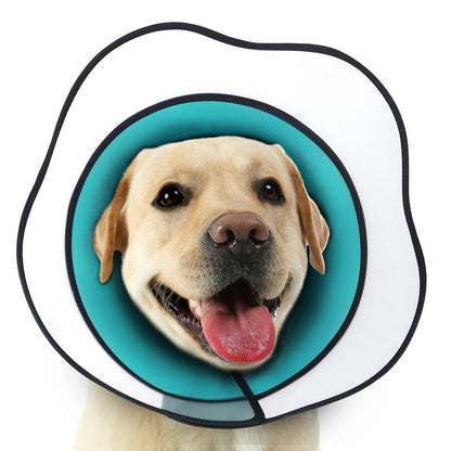 Sir Barkington’s Restorative Elizabeth Ring™ - Sir Barkington’s Pet Supplies