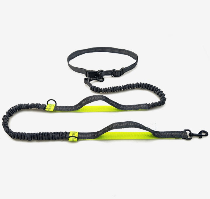 Sir Barkington’s DuoStride™ Reflective Elastic Leash - Sir Barkington’s Pet Supplies