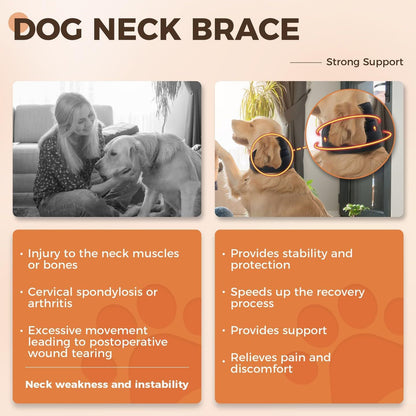 Sir Barkington’s Restorative Cervical Brace™
Neck Stabilization for Sprains, Instability, and Post‑Injury Recovery - Sir Barkington’s Pet Supplies