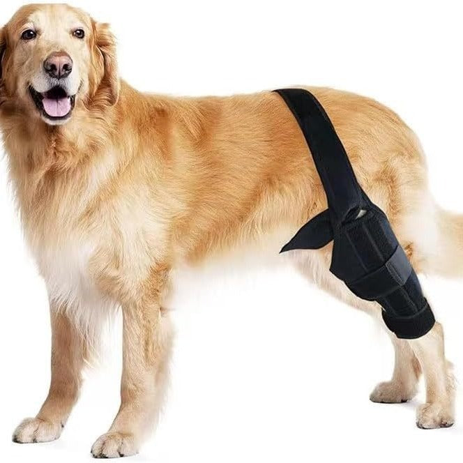 Sir Barkington’s Noble Brace — Dog Leg Injury Support Bar - Sir Barkington’s Pet Supplies