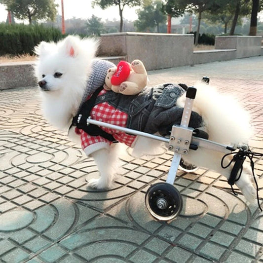 Sir Barkington’s Noble Mobility Carriage — Fully Adjustable Dog Wheelchair - Sir Barkington’s Pet Supplies