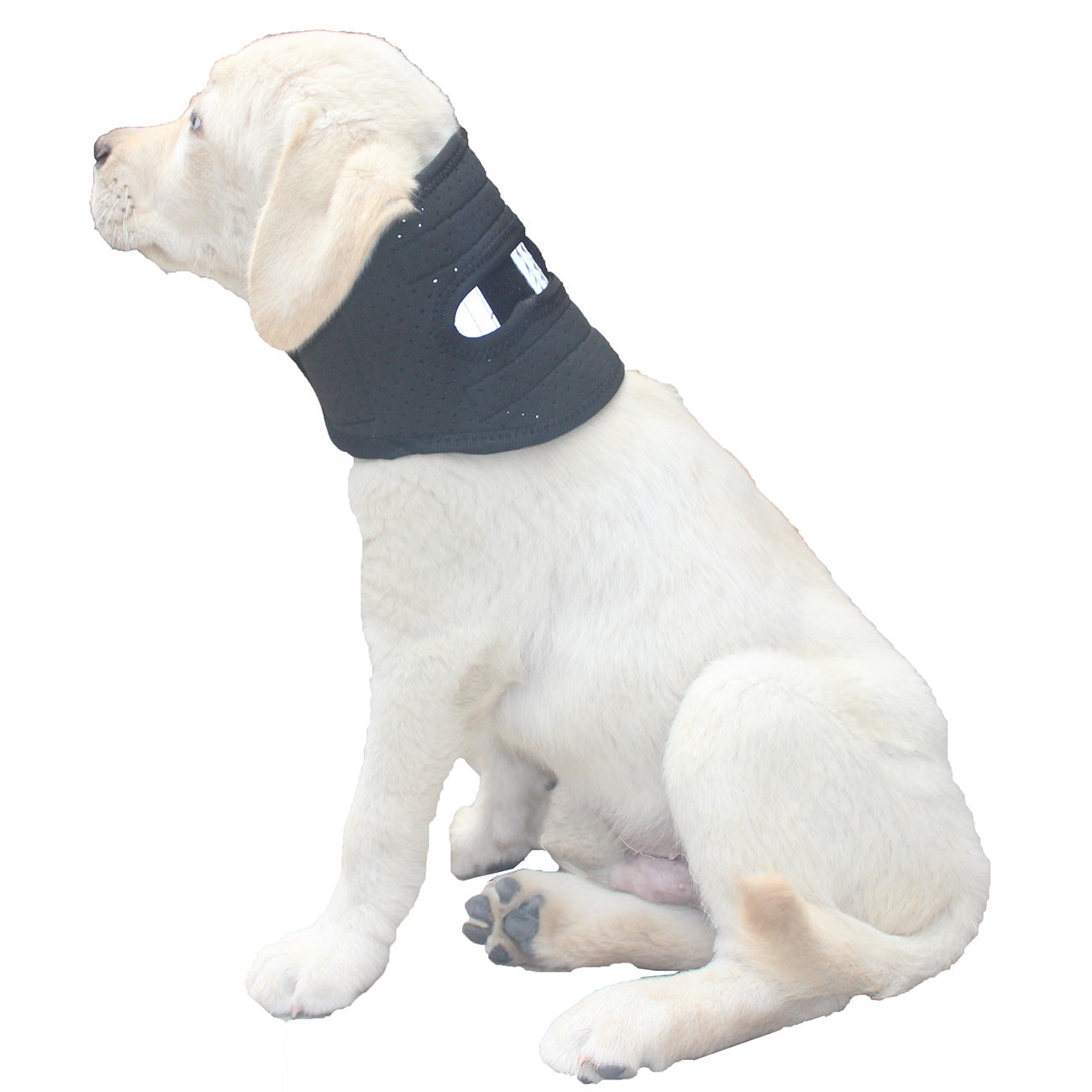 Sir Barkington’s Restorative Cervical Brace™
Neck Stabilization for Sprains, Instability, and Post‑Injury Recovery - Sir Barkington’s Pet Supplies