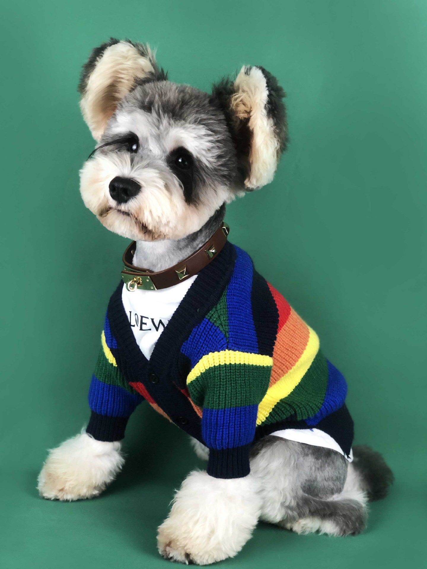 Dog Rainbow Striped Cardigan - Sir Barkington’s Pet Supplies