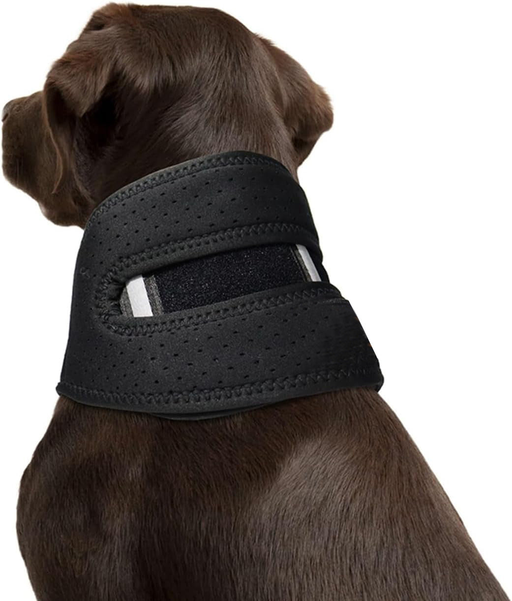 Sir Barkington’s Restorative Cervical Brace™
Neck Stabilization for Sprains, Instability, and Post‑Injury Recovery - Sir Barkington’s Pet Supplies
