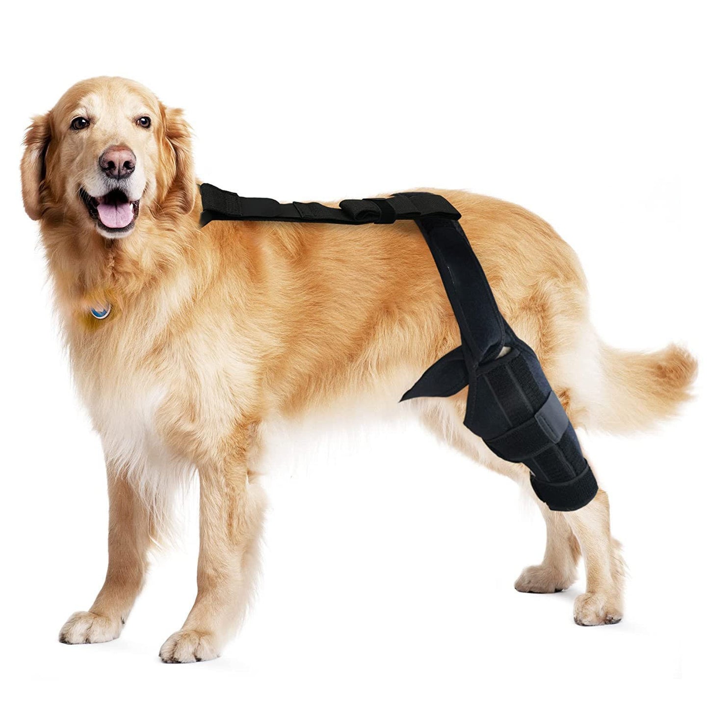Sir Barkington’s Noble Guard — Tear Protection Rehabilitation Belt - Sir Barkington’s Pet Supplies