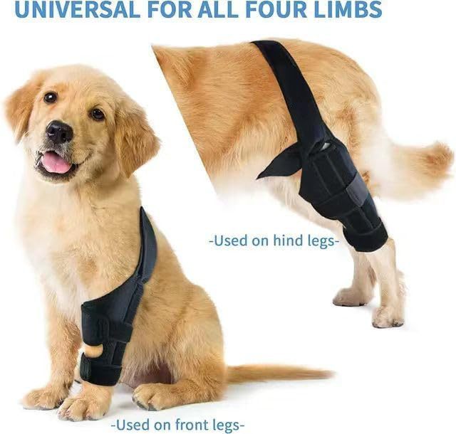 Sir Barkington’s Noble Brace — Dog Leg Injury Support Bar - Sir Barkington’s Pet Supplies