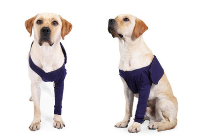 Sir Barkington’s Restorative Sleeve™  
Gentle, Dignified Protection for Post‑Surgery Recovery - Sir Barkington’s Pet Supplies