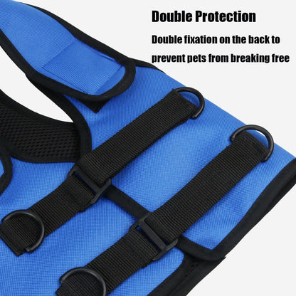 Sir Barkington’s Noble Senior Belt — Rehabilitation Aid for Elderly Dogs - Sir Barkington’s Pet Supplies