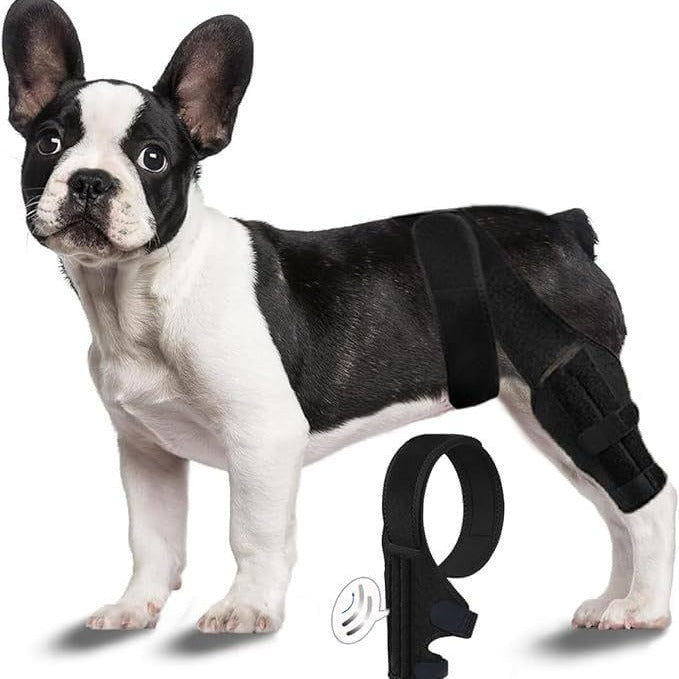 Sir Barkington’s Noble Brace — Dog Leg Injury Support Bar - Sir Barkington’s Pet Supplies