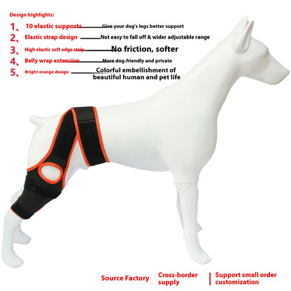 Sir Barkington’s Restorative Hind‑Leg Brace™ - Sir Barkington’s Pet Supplies