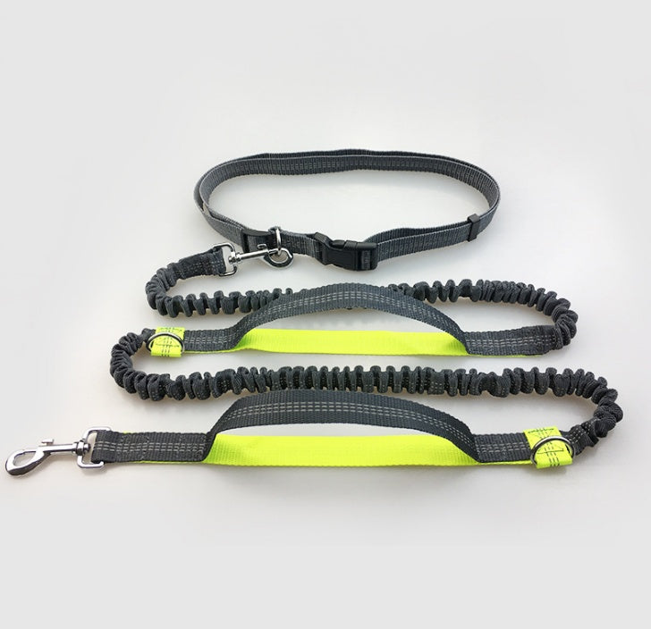 Sir Barkington’s DuoStride™ Reflective Elastic Leash - Sir Barkington’s Pet Supplies