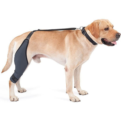 Sir Barkington’s Noble Guard — Tear Protection Rehabilitation Belt - Sir Barkington’s Pet Supplies