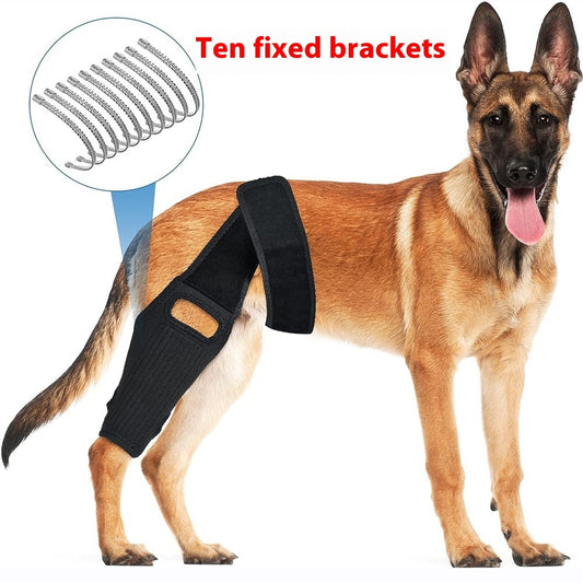 Sir Barkington’s Noble Guard — Tear Protection Rehabilitation Belt - Sir Barkington’s Pet Supplies