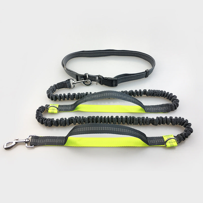 Sir Barkington’s DuoStride™ Reflective Elastic Leash - Sir Barkington’s Pet Supplies