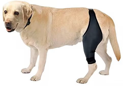 Sir Barkington’s Noble Guard — Tear Protection Rehabilitation Belt - Sir Barkington’s Pet Supplies