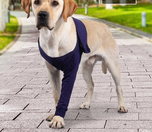 Sir Barkington’s Restorative Sleeve™  
Gentle, Dignified Protection for Post‑Surgery Recovery - Sir Barkington’s Pet Supplies