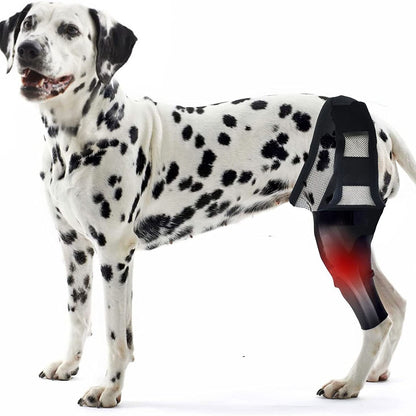 Sir Barkington’s Noble Guard — Tear Protection Rehabilitation Belt - Sir Barkington’s Pet Supplies