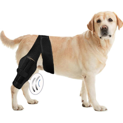 Sir Barkington’s Noble Brace — Dog Leg Injury Support Bar - Sir Barkington’s Pet Supplies