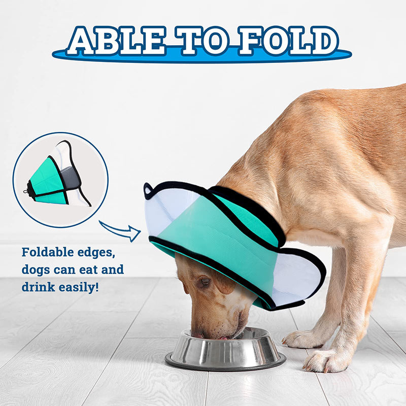 Sir Barkington’s Restorative Elizabeth Ring™ - Sir Barkington’s Pet Supplies