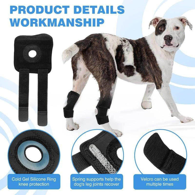 Sir Barkington’s Noble Knee Guard — Joint & Ligament Protection Pad - Sir Barkington’s Pet Supplies