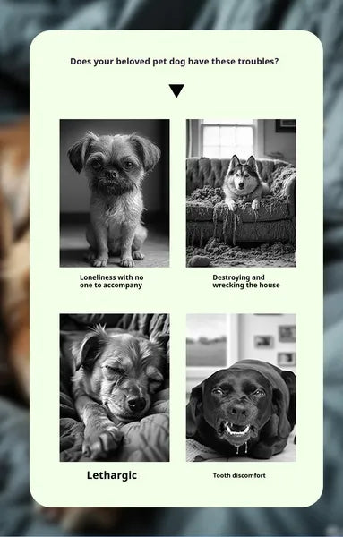 Pet Interactive Sound Ball — Chew-Resistant, Self-Entertaining, and Delightfully Noisy - Sir Barkington’s Pet Supplies